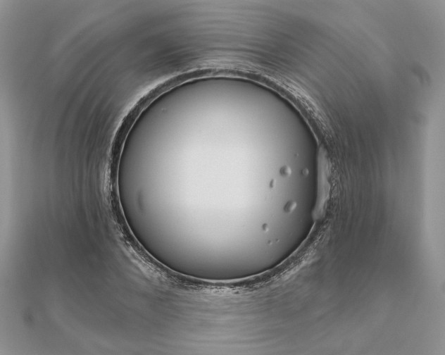 X0000111670880200907311156