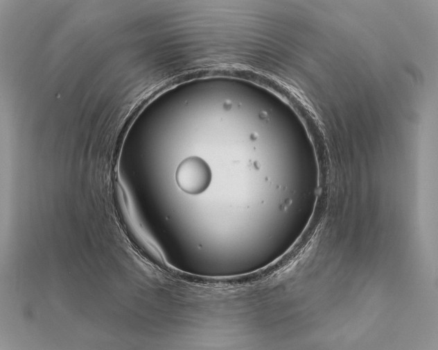 X0000111670881200907311156