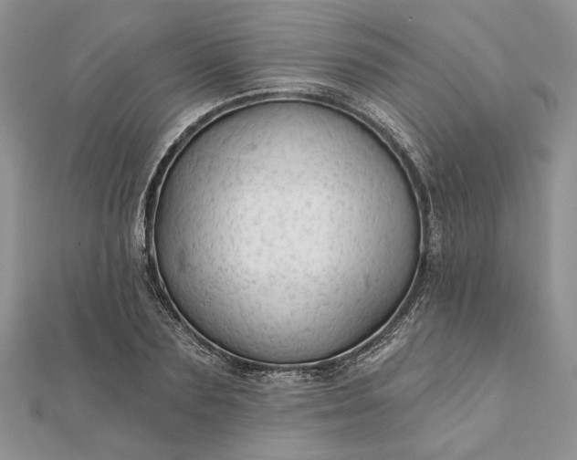 X0000111670883200907311156