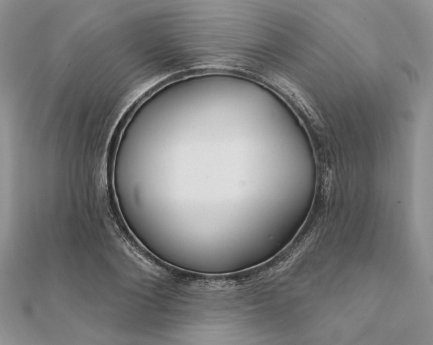 X0000111670884200907311156