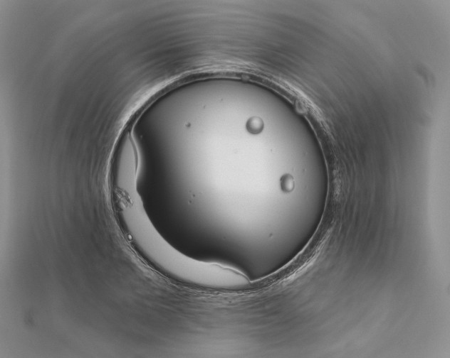 X0000111670885200907311156