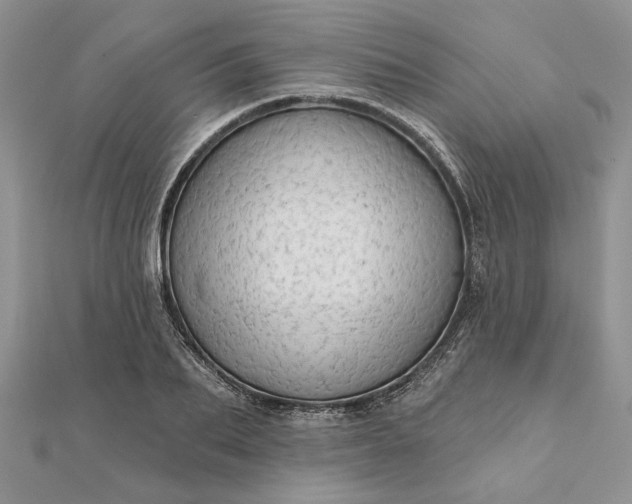 X0000111670887200907311156