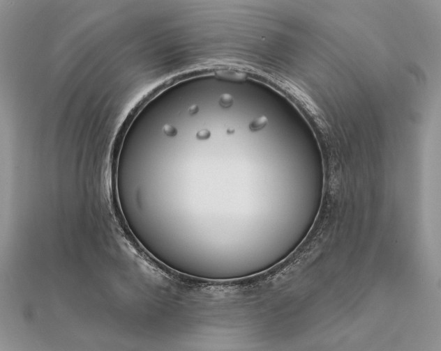 X0000111670888200907311156