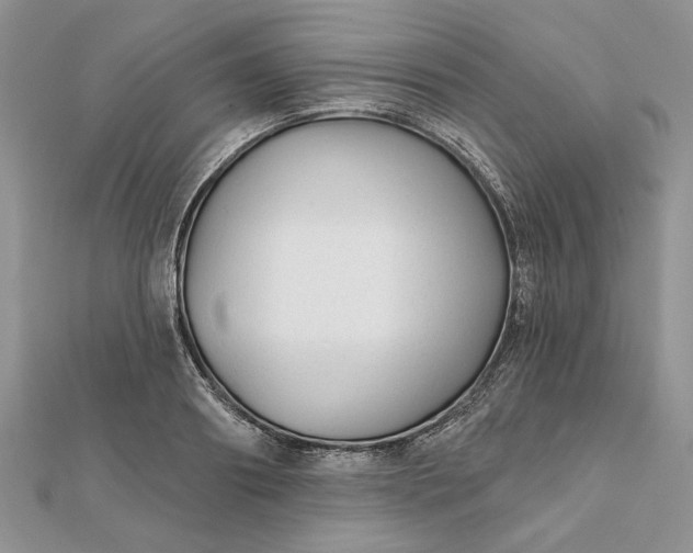 X0000111670890200907311156