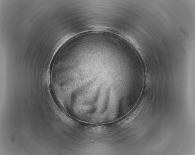 X0000111670891200907311156