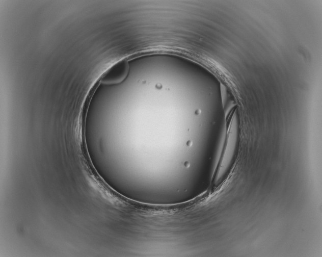 X0000111670892200907311156