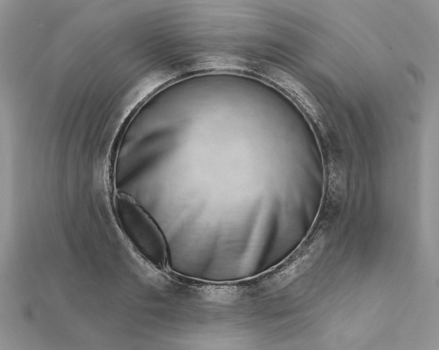 X0000111670893200907311156