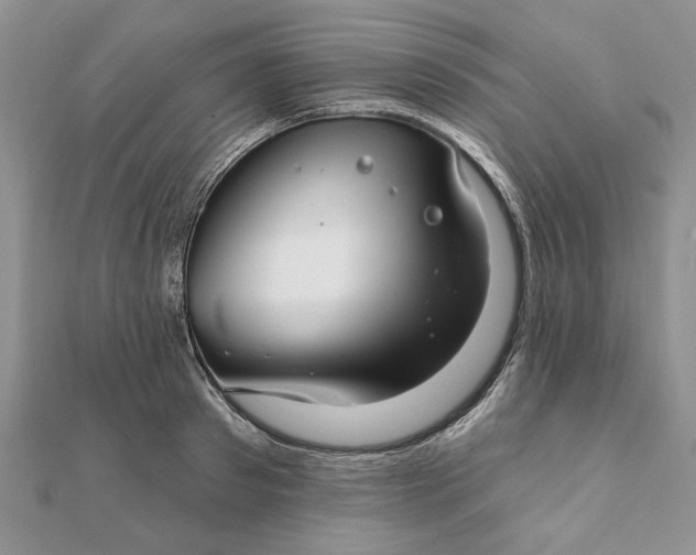 X0000111670897200907311156