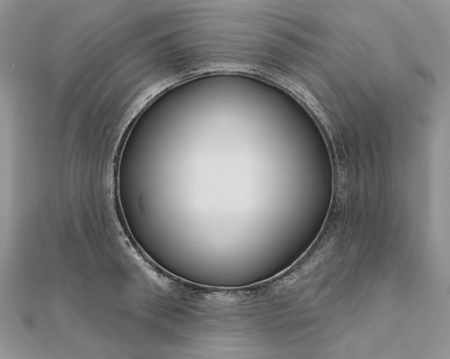 X0000111670898200907311156