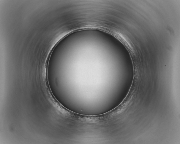 X0000111670900200907311156