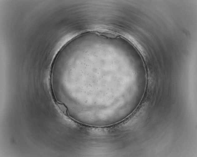 X0000111670901200907311156