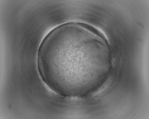 X0000111670903200907311156