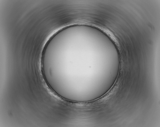 X0000111670904200907311156