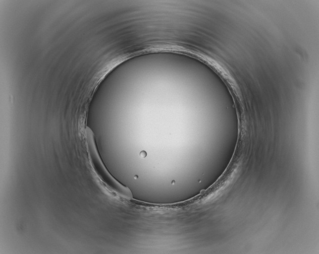 X0000111670905200907311156