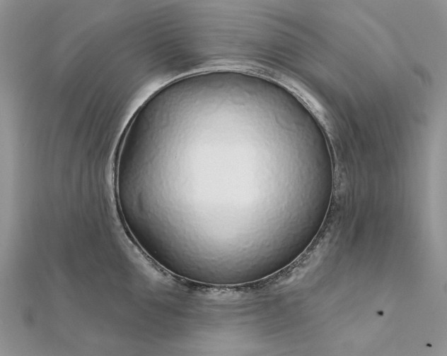 X0000111670907200907311156