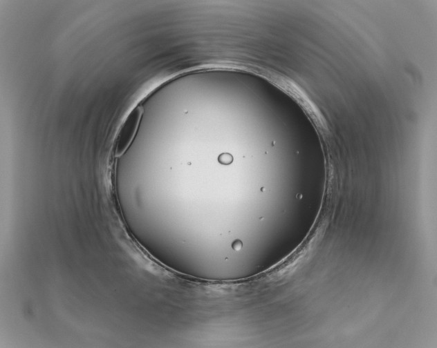 X0000111670908200907311156