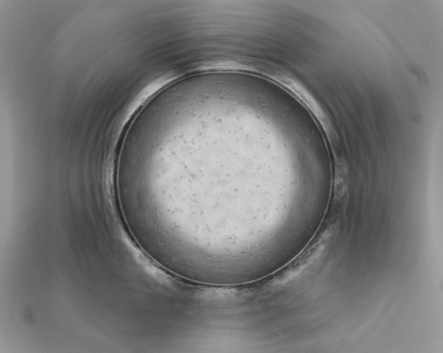 X0000111670909200907311156