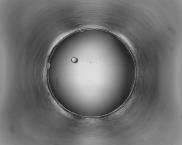 X0000111670910200907311156