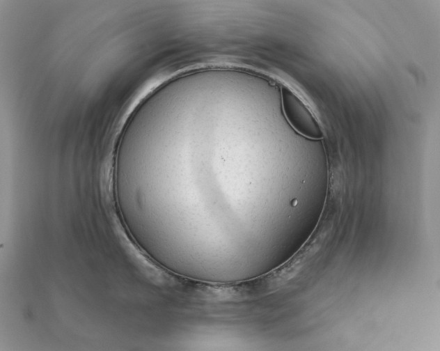 X0000111670911200907311156