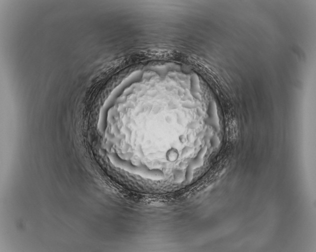 X0000111670913200907311155