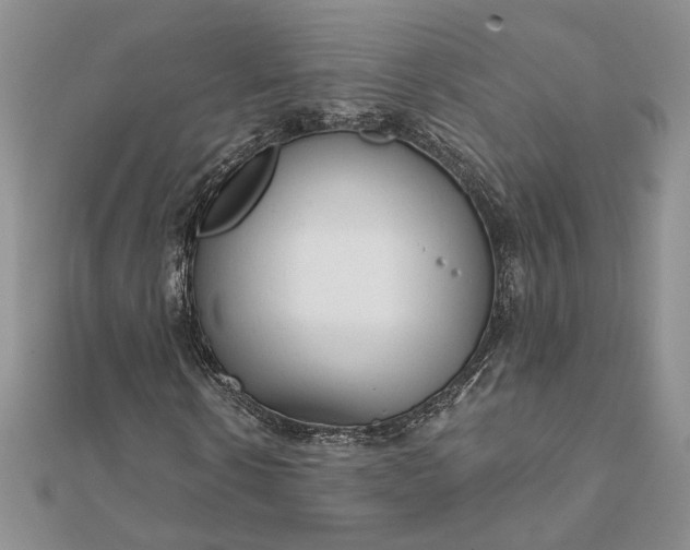 X0000111670914200907311155