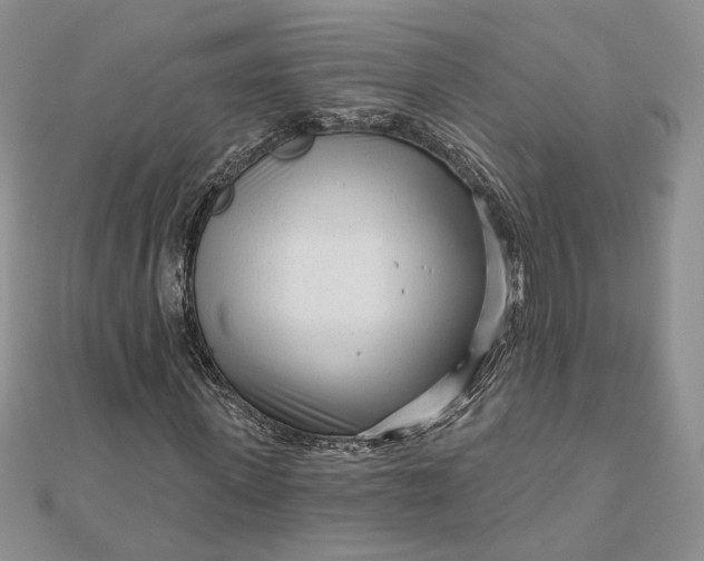 X0000111670915200907311155