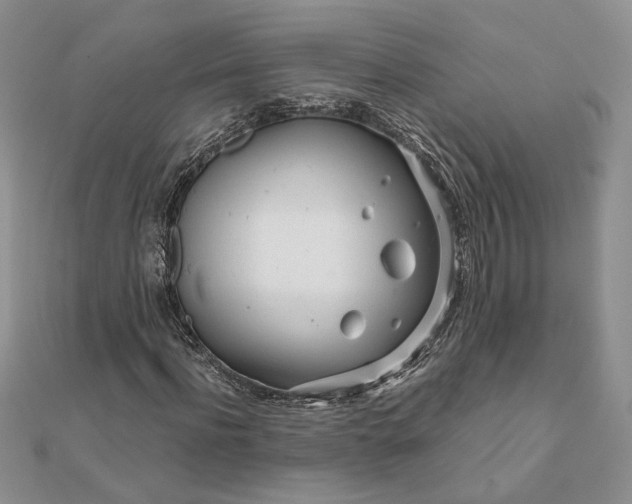 X0000111670916200907311155