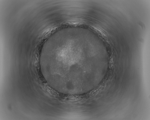 X0000111670917200907311155