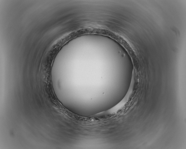 X0000111670919200907311155