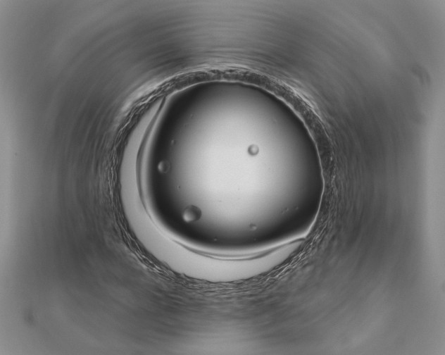 X0000111670920200907311155