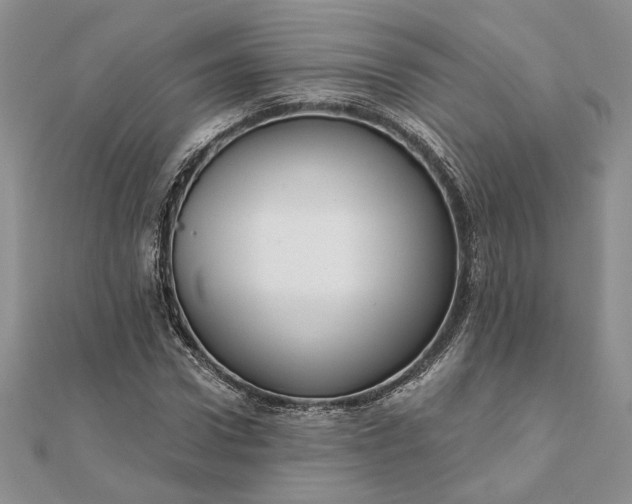 X0000111670922200907311155