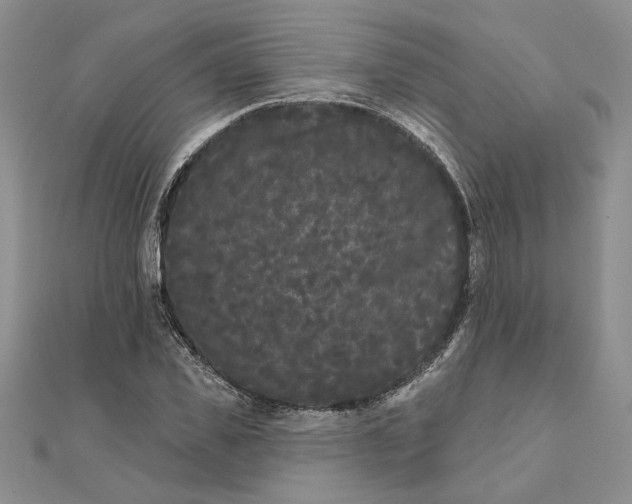 X0000111670925200907311155