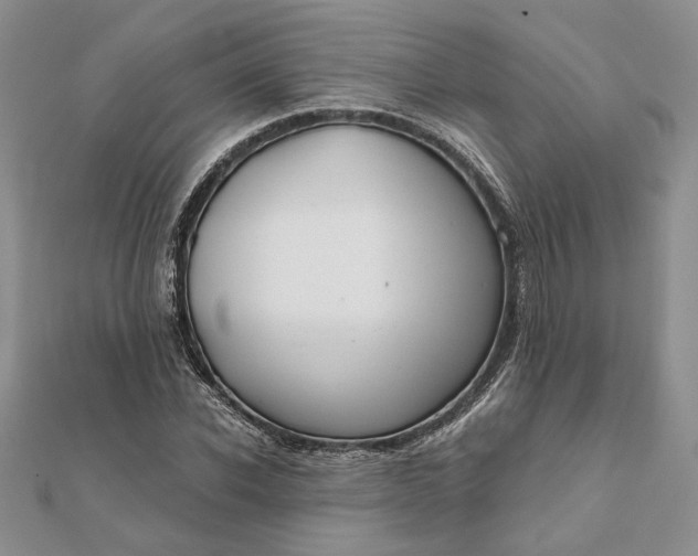 X0000111670926200907311155