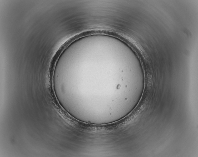 X0000111670927200907311155