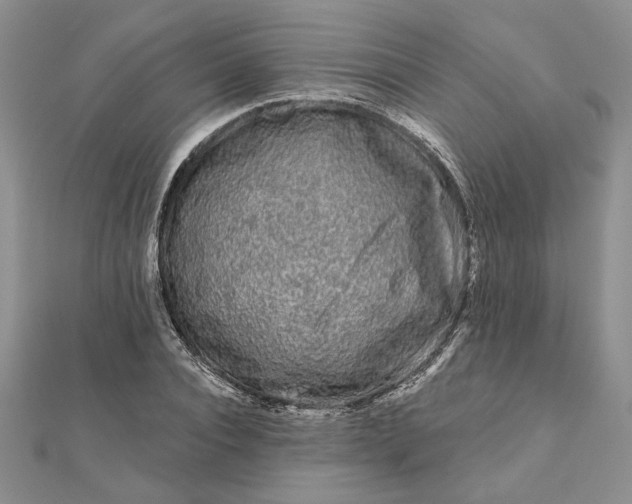 X0000111670928200907311155