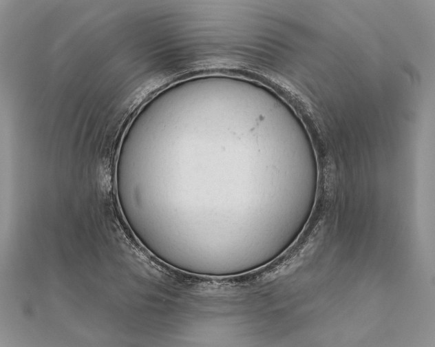 X0000111670929200907311155