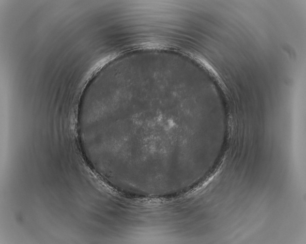 X0000111670930200907311155