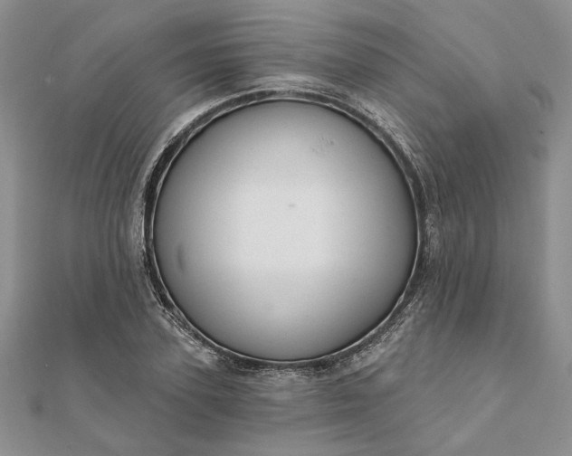 X0000111670931200907311155