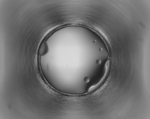 X0000111670932200907311155