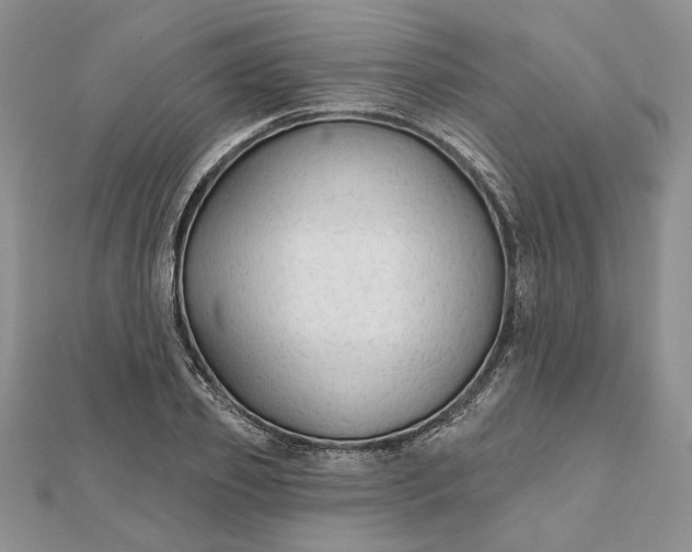 X0000111670933200907311155