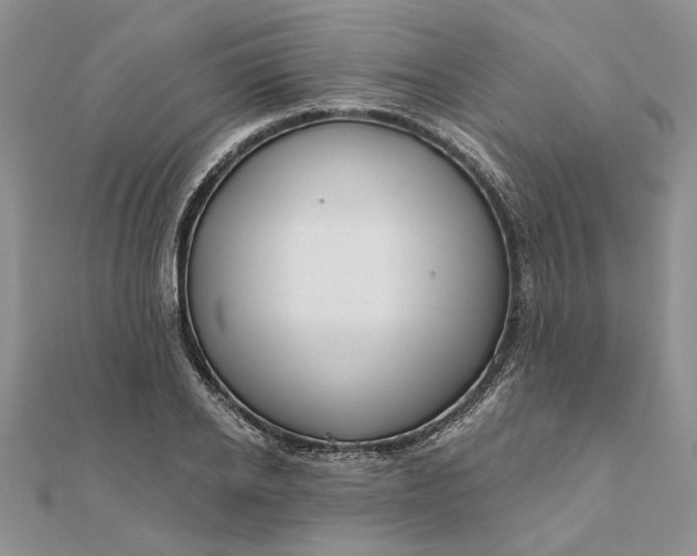 X0000111670934200907311155