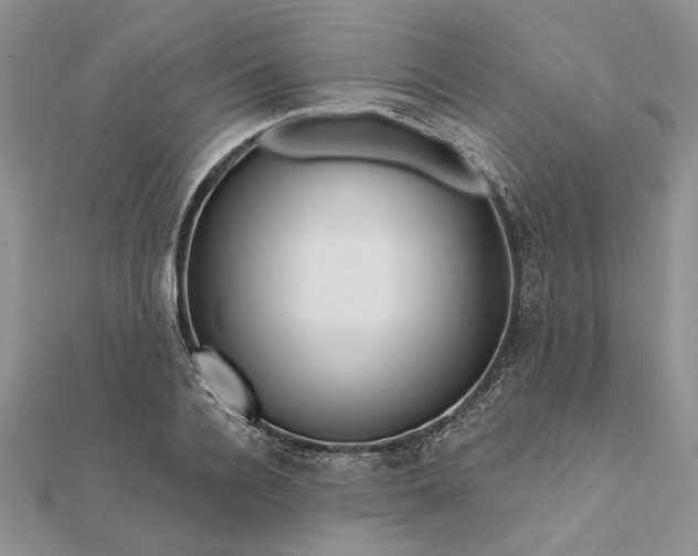 X0000111670936200907311155