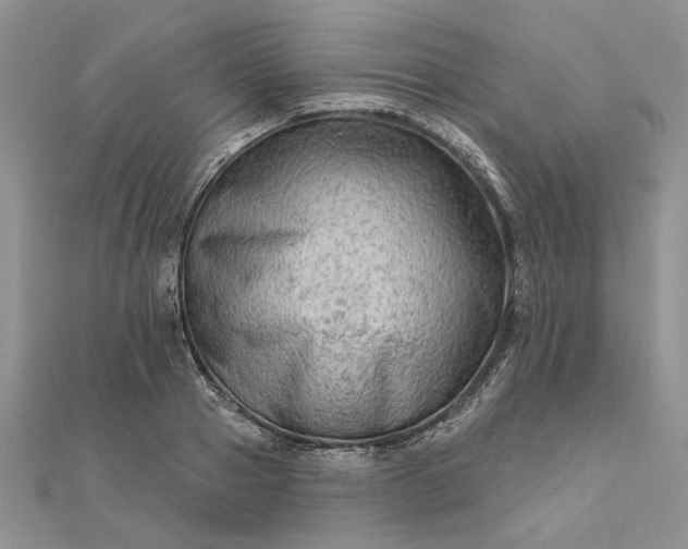 X0000111670937200907311155