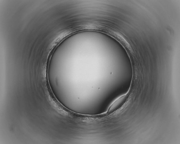 X0000111670938200907311155