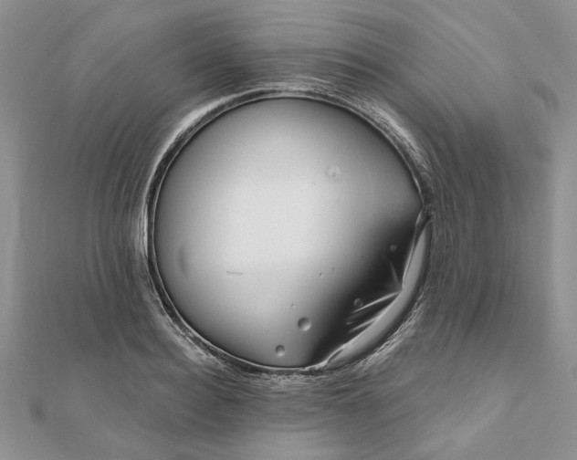 X0000111670940200907311155