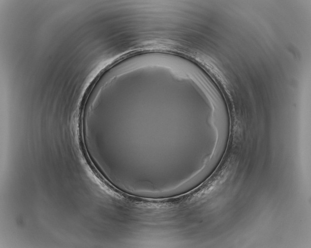 X0000111670941200907311155