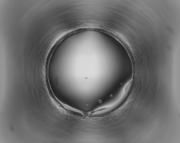 X0000111670942200907311155