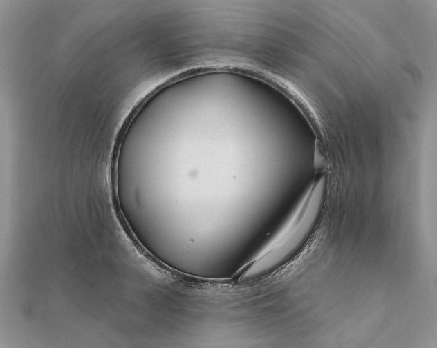 X0000111670943200907311155