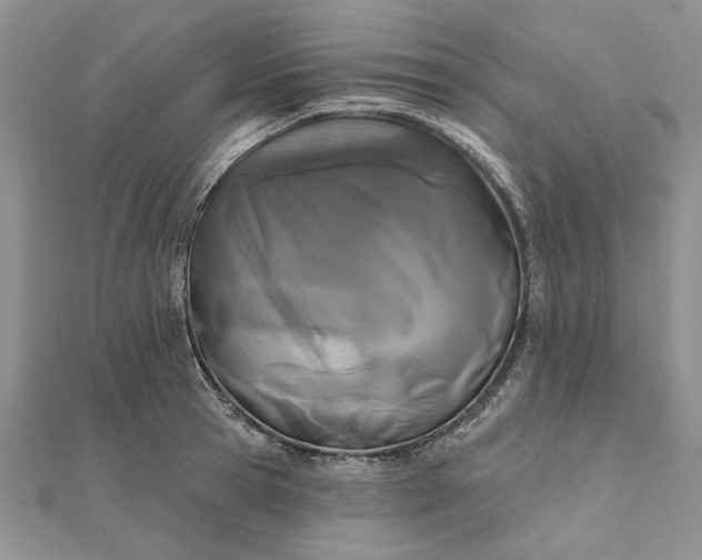 X0000111670945200907311156