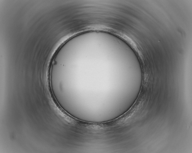 X0000111670947200907311156